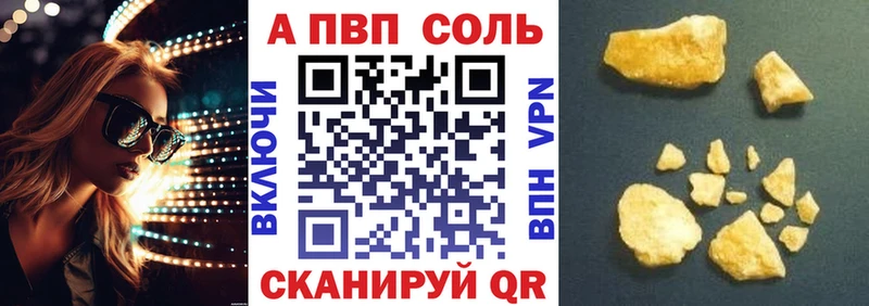 A PVP СК  Волгореченск 