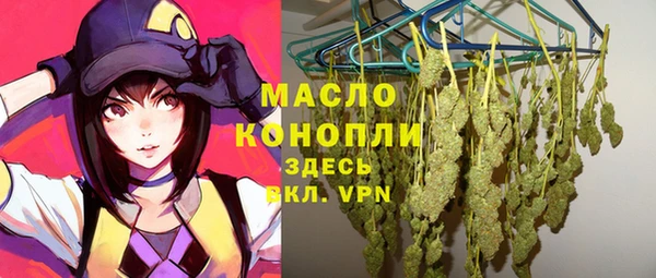 эйфоретик Арсеньев