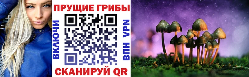 где можно купить наркотик Волгореченск Галлюциногенные грибы прущие грибы